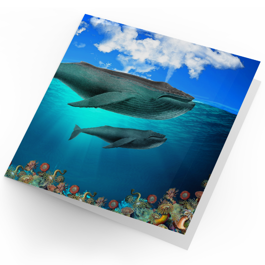 Whale Mother and Calf